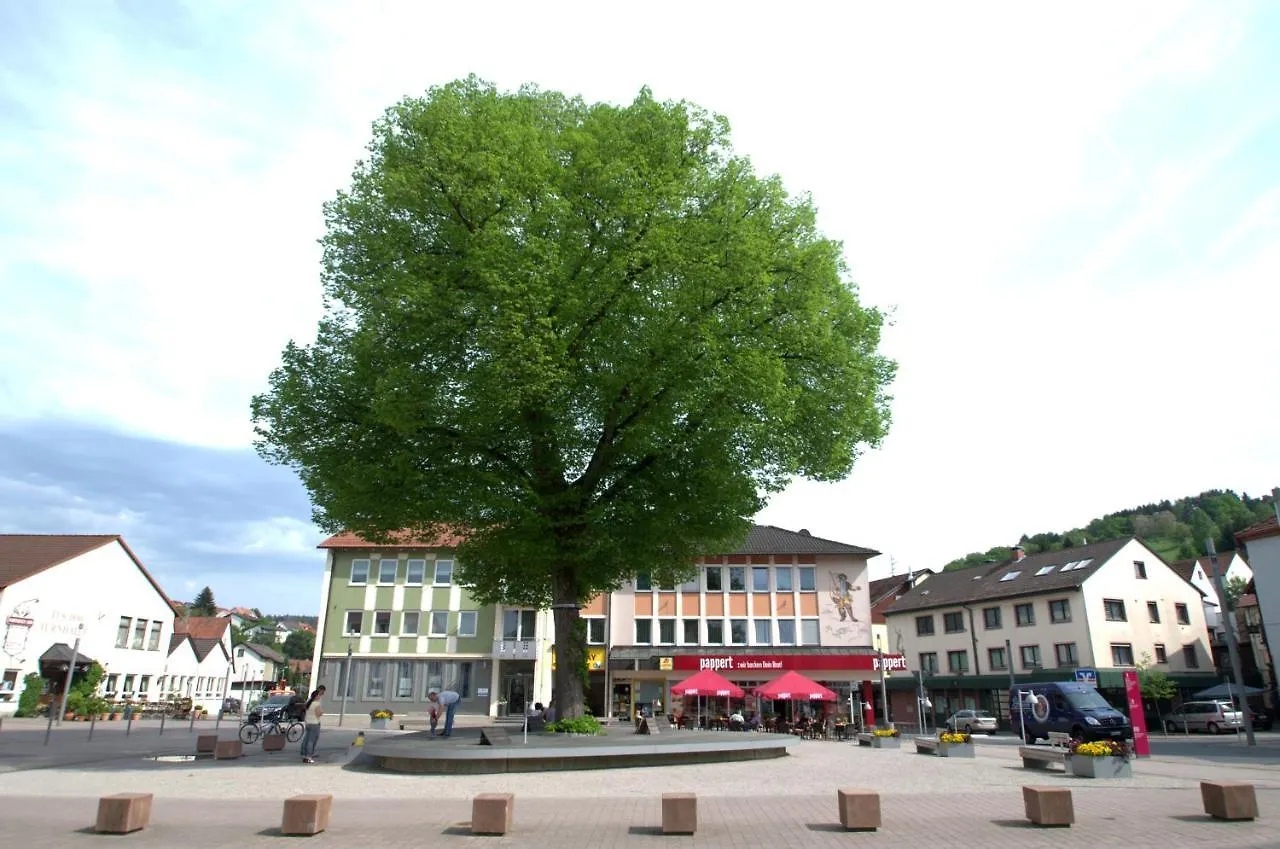Landhotel Spessartruh Frammersbach Tyskland