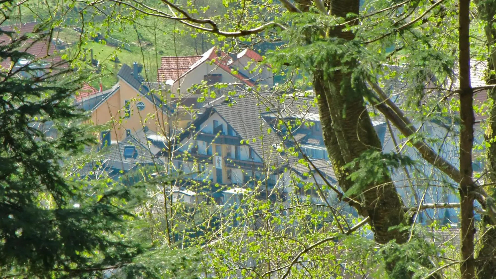 Hotell Landhotel Spessartruh Frammersbach