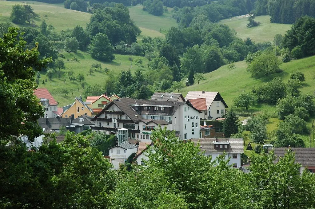 Landhotel Spessartruh Frammersbach